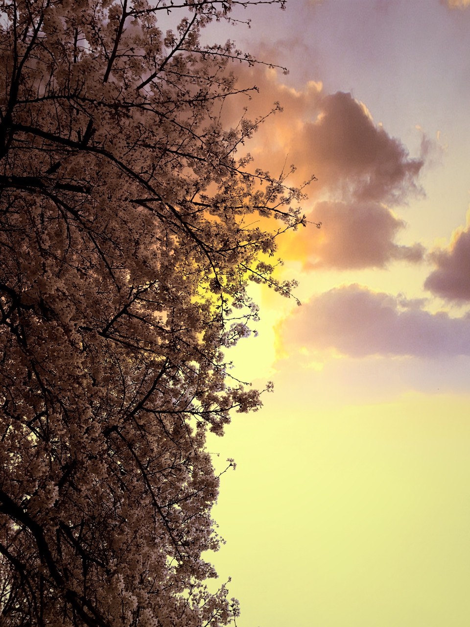 5788ABF9-694B-4FA3-A33B-76F8F8A3494F-9535-00000CDCB1870051