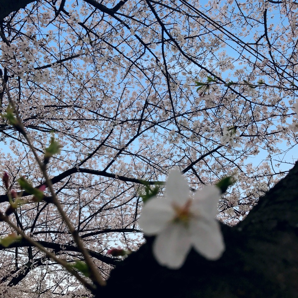 73CDDAA8-885C-4335-A27F-58757AB43FB7-9535-00000CDA0E22518E