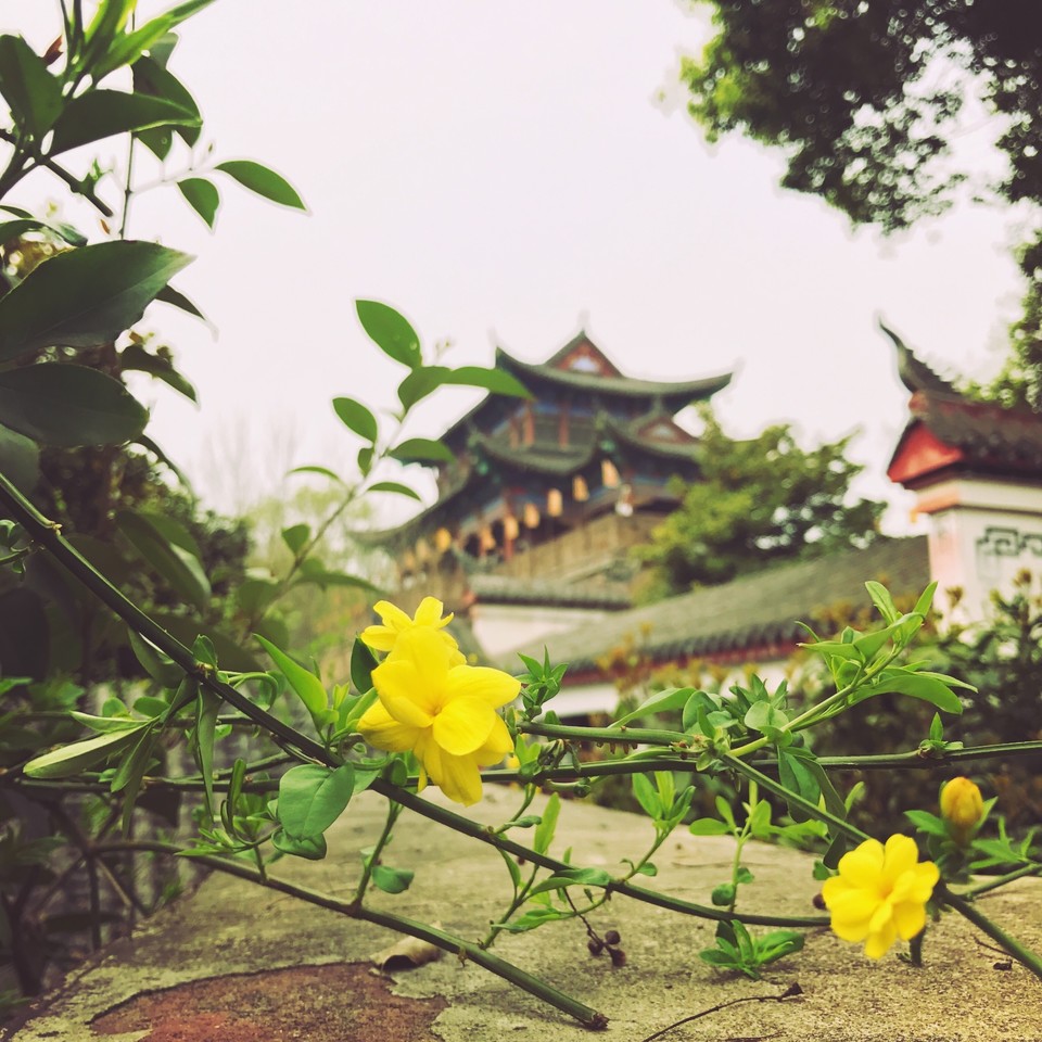 0C02F24F-1C6D-4A87-9AB9-00C6AD8979AF-9535-00000CDA8ACB8423