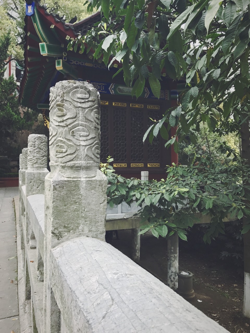 7A977AB0-7AA4-44D0-9B80-B299D507BC9D-9535-00000CDBDDC8858F