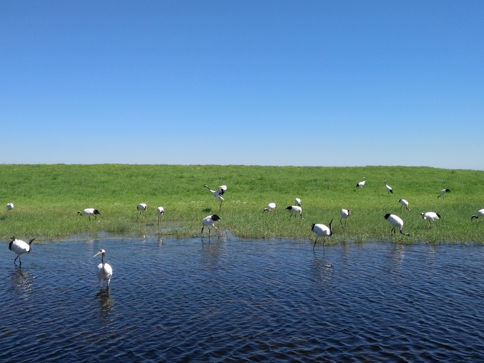 vC214ERitFGFbcxdnTJASc1YrWU7oc1wny3YS9nvyI7QgJQuPekdZ0p46XHZAs3N