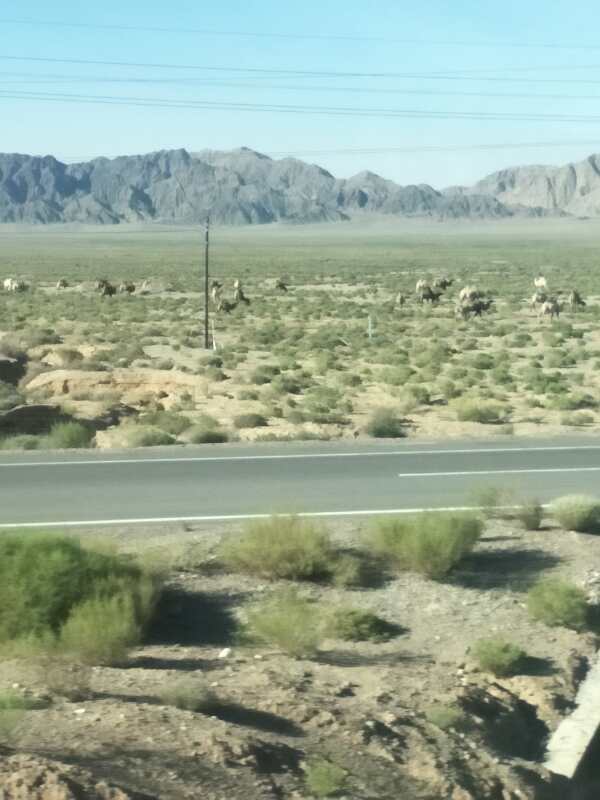 mIzY_JeITLe_TgaYIseO0PQEQrIfmZbAJ5dm2t8pl5xV6cPkFgb9Bm10SLZHHRCp