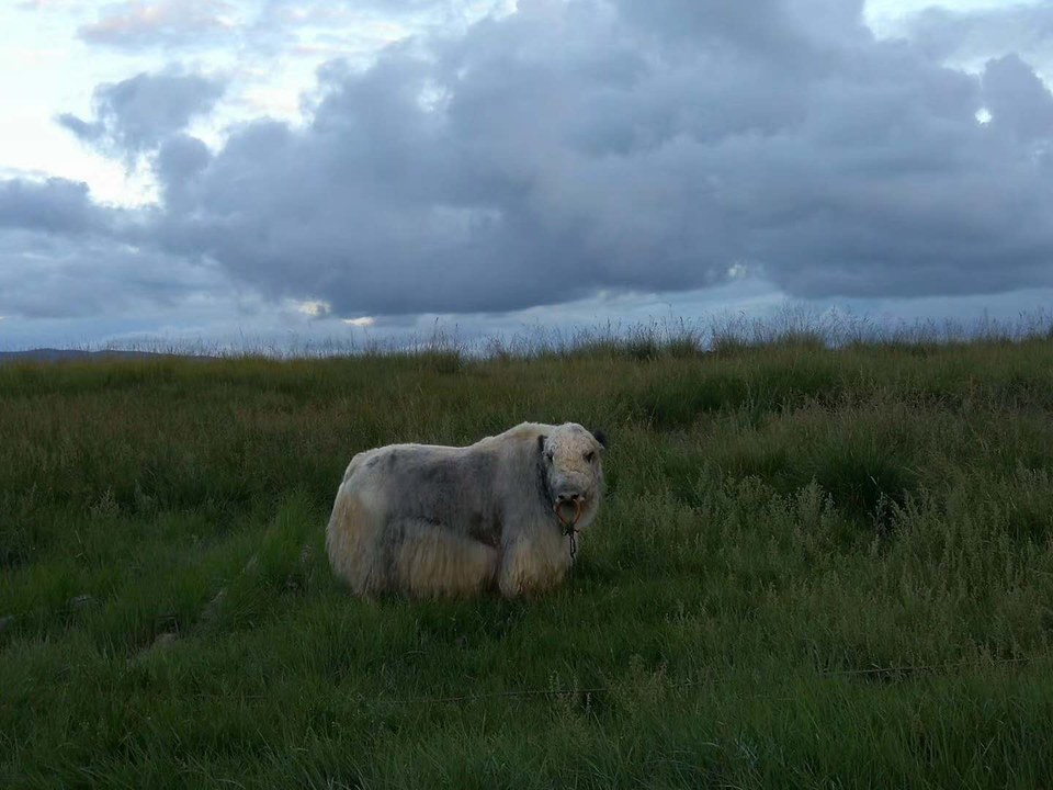 hFBjf27qI30qUlvZBM8A5dyUlh4flEhHhoTMWTkAgR0ARhlquKDLkSuCjwSCo5qD