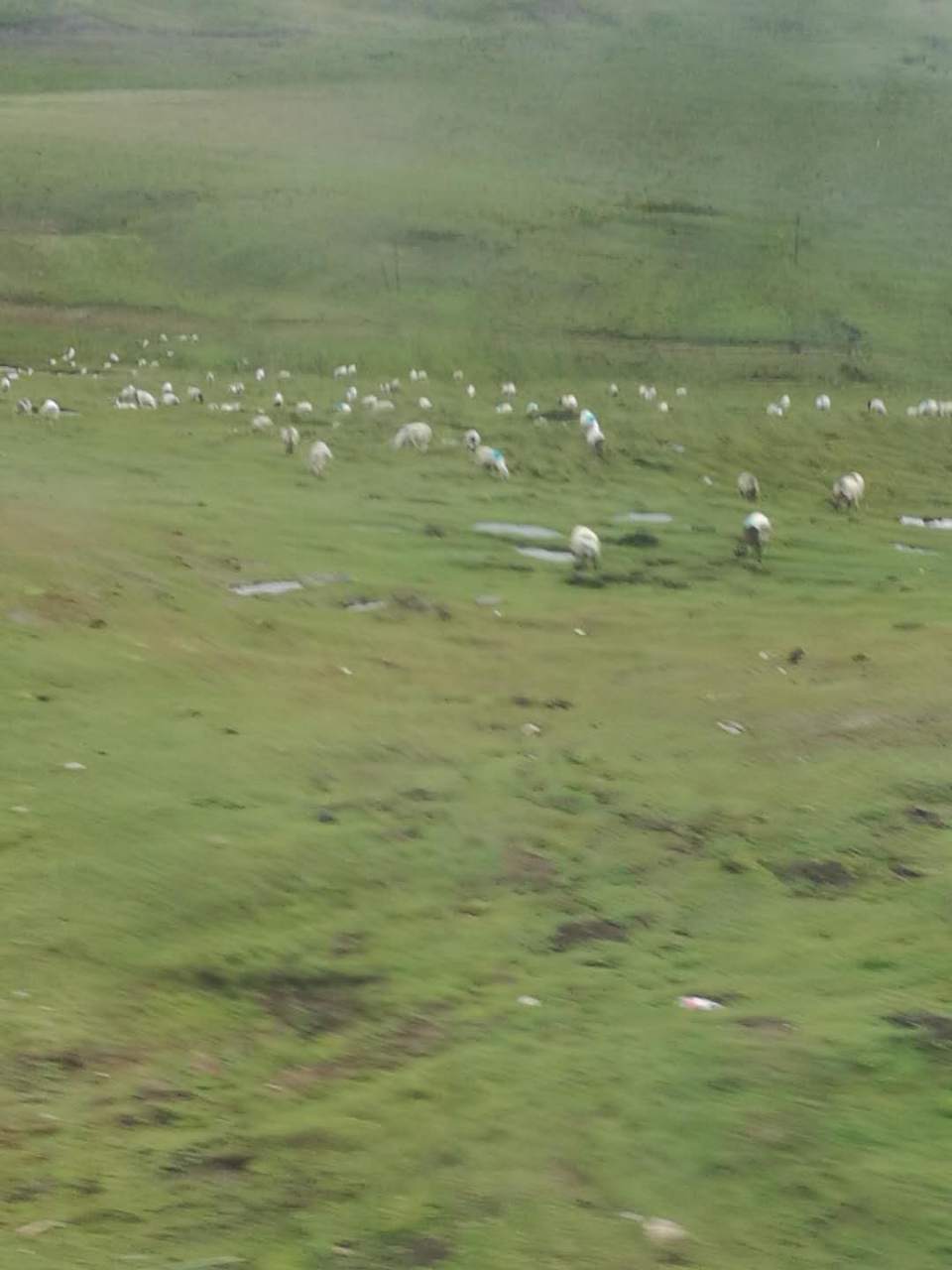 vFuLuqg2FWcjq997CRHT8DKBuIIf9-fjkb6i-U0HUHHAXsAASkKzTRx37_MtF_Ra