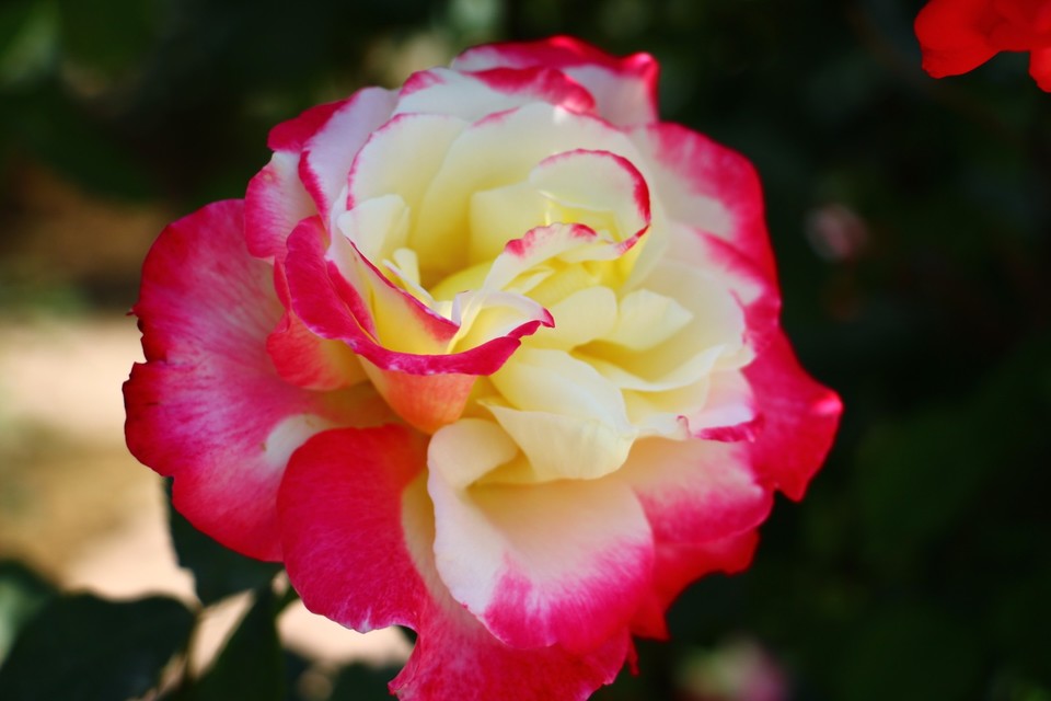 20180428130348_IMG_6959