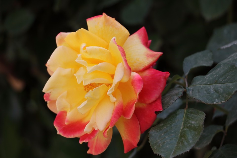 20180428112313_IMG_6807