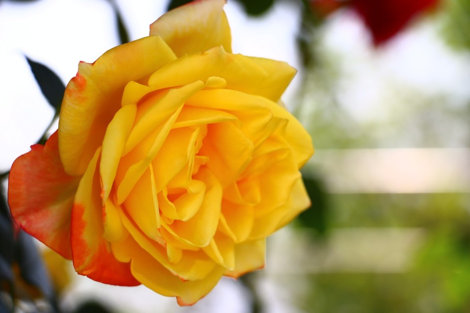 20180428130148_IMG_6951