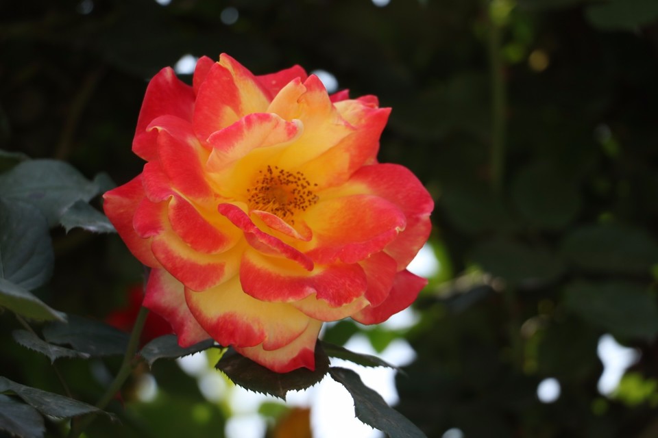 20180428113750_IMG_6826