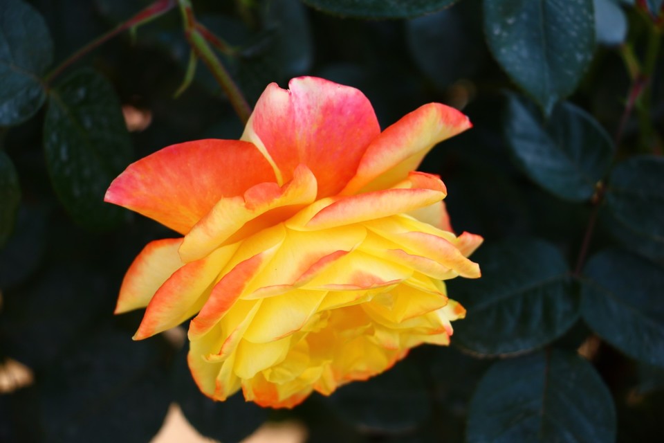 20180428130028_IMG_6946