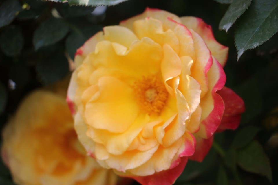 20180428121754_IMG_6890