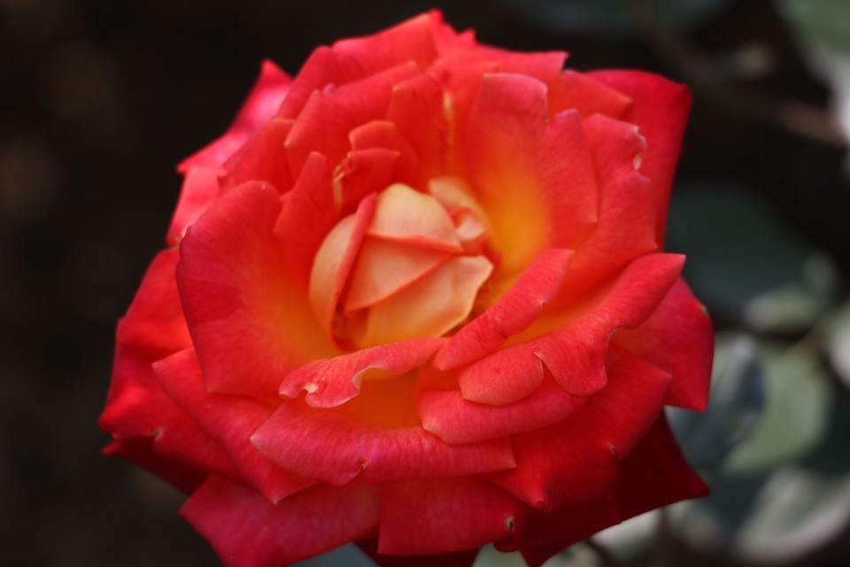 20180428114046_IMG_6837