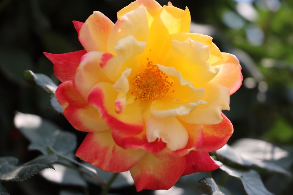 20180428131950_IMG_6984