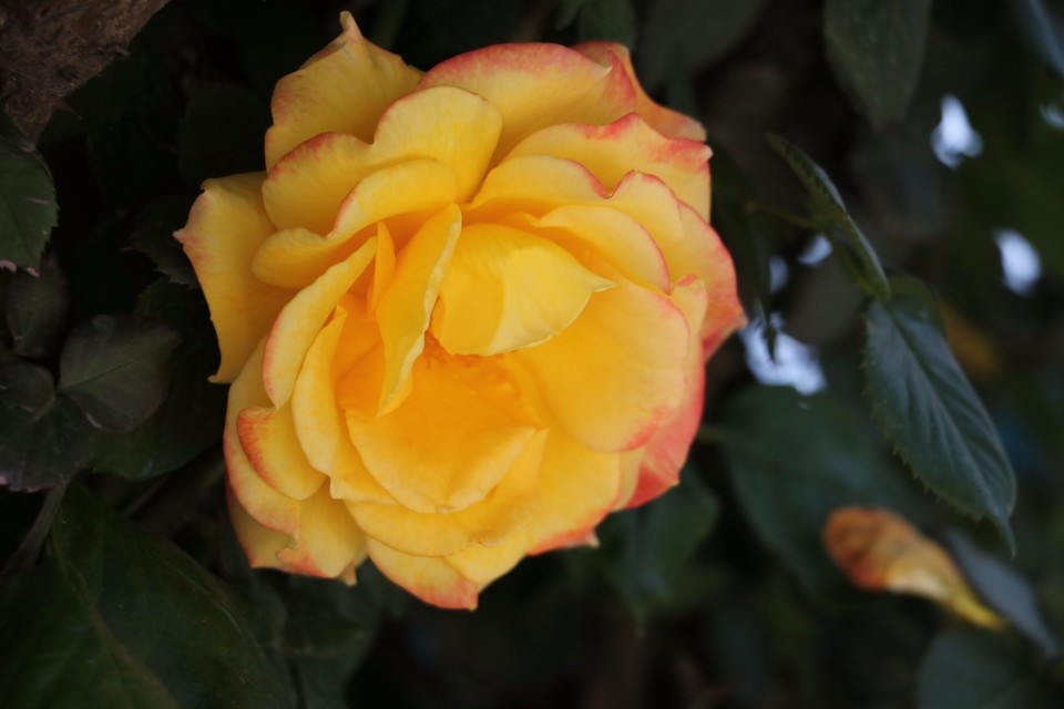 20180428113829_IMG_6830