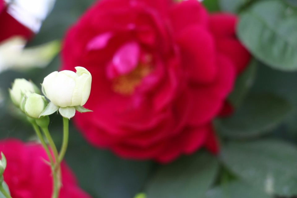 20180428121829_IMG_6893