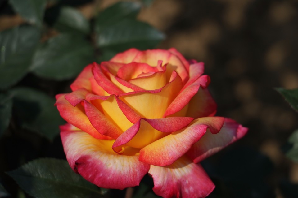 20180428114627_IMG_6852