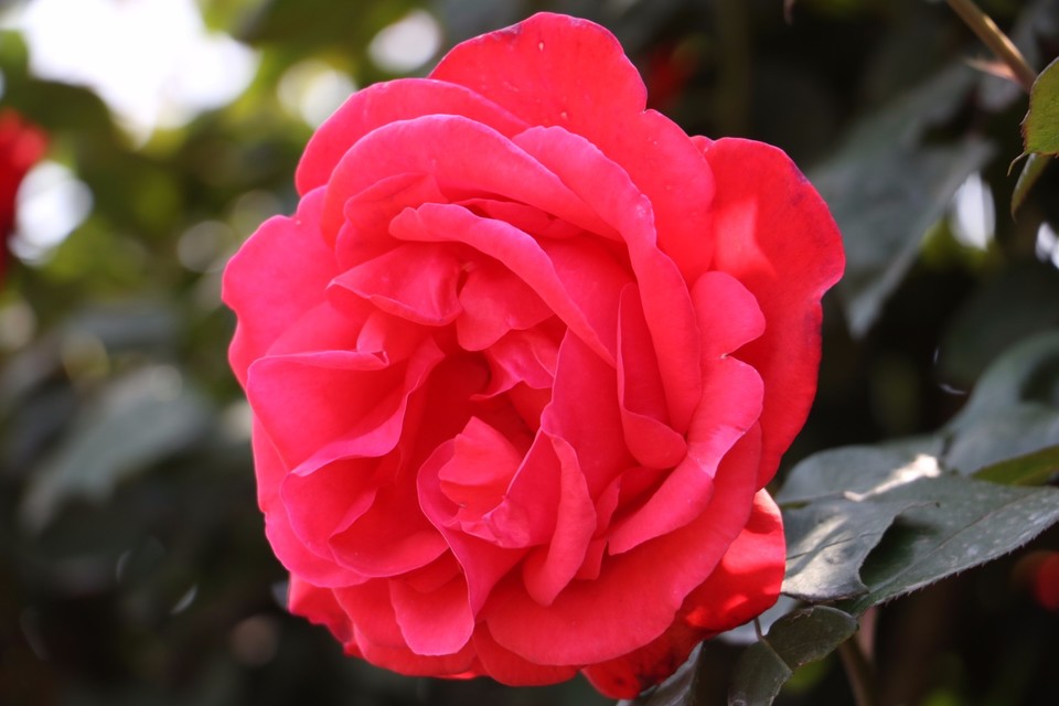 20180428114306_IMG_6844