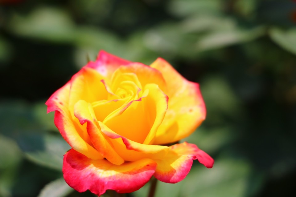 20180428131203_IMG_6978