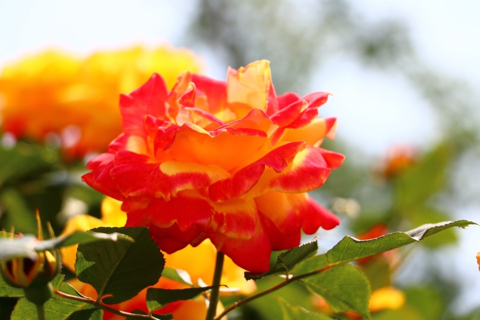 20180428130312_IMG_6957