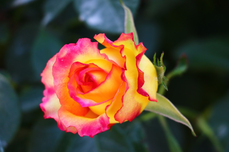 20180428130448_IMG_6964