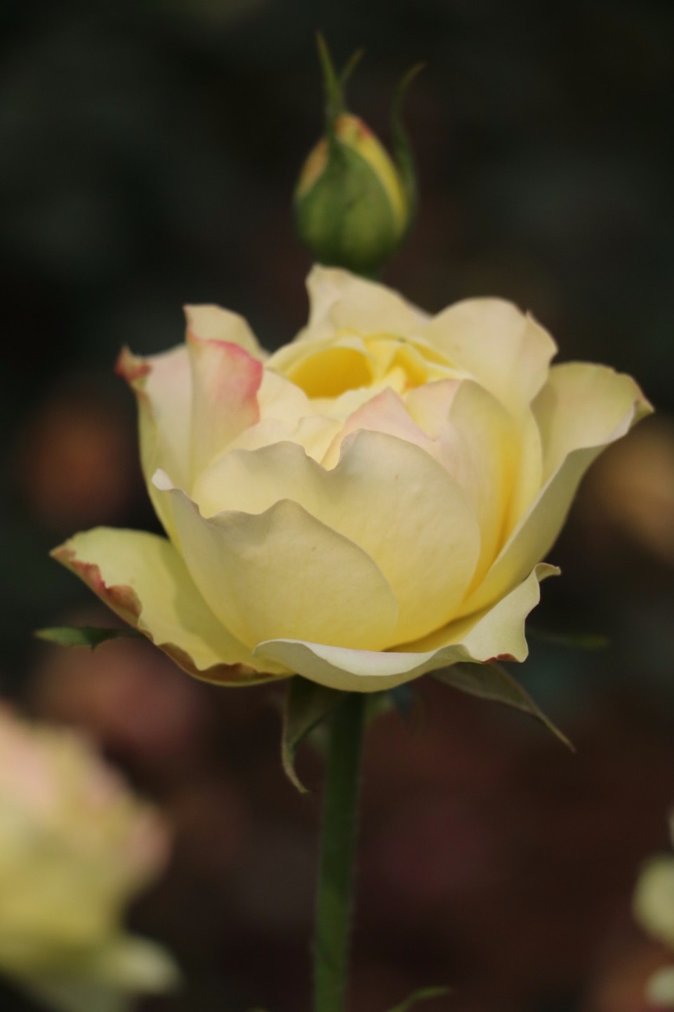 20180511161002_IMG_7110