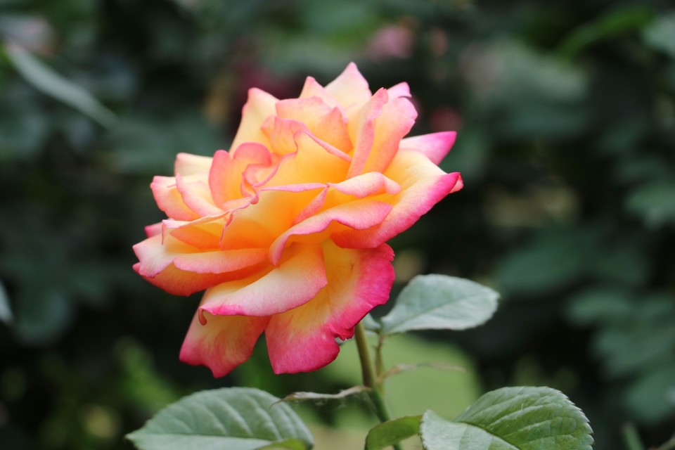 20180511163354_IMG_7173