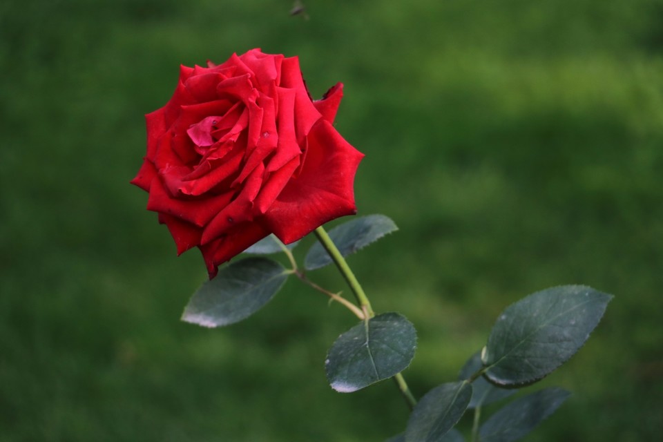 20180511162605_IMG_7151