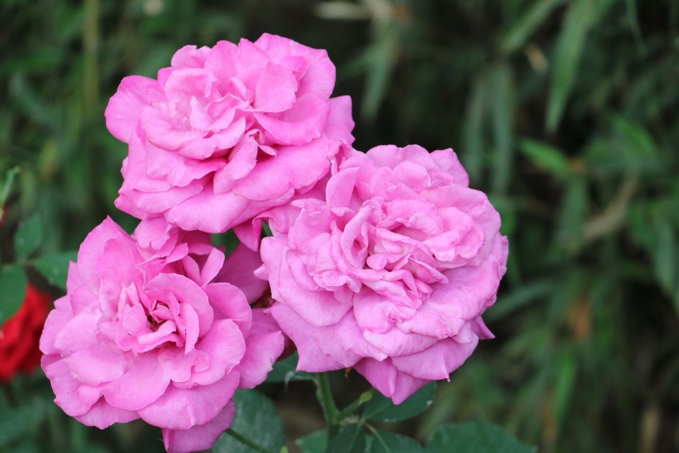 20180511155152_IMG_7056