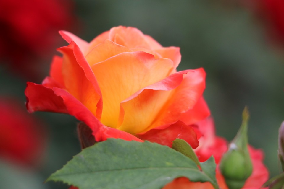 20180511163147_IMG_7168