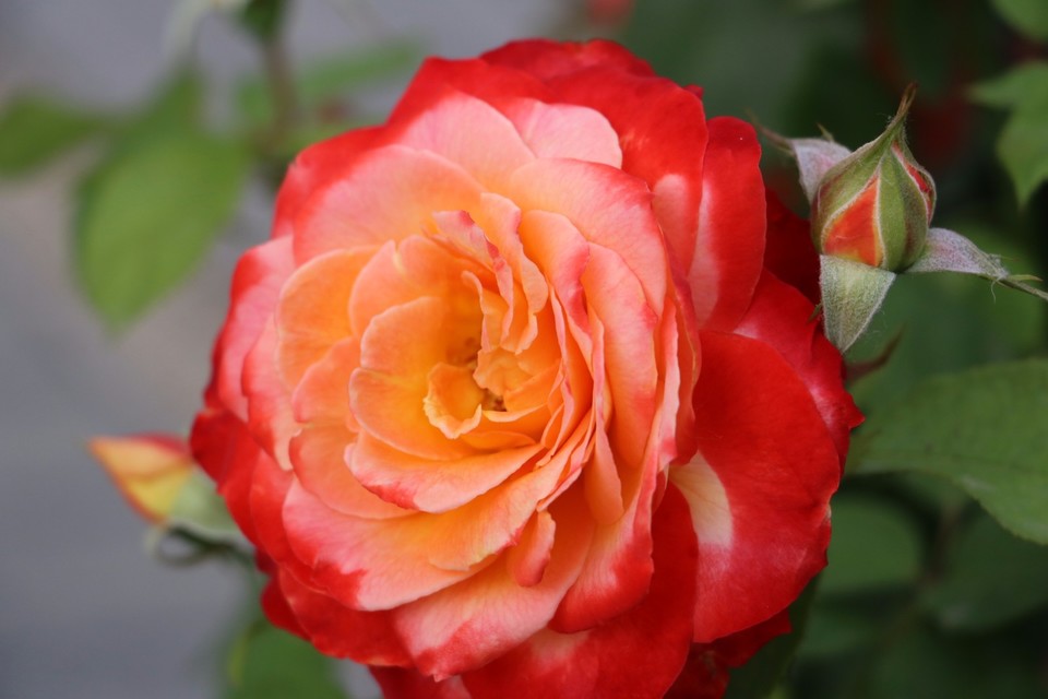 20180511154102_IMG_7030