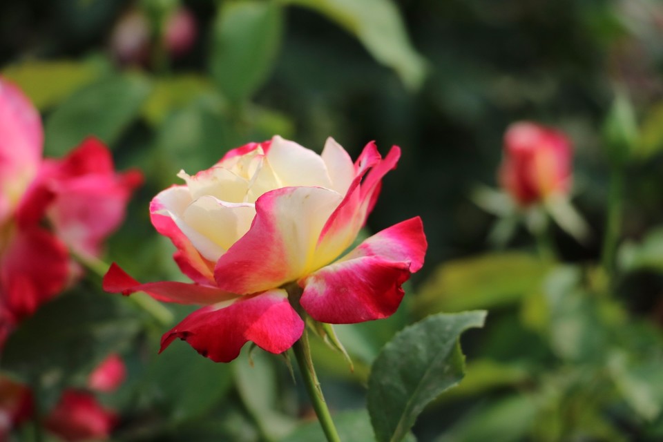 20180511160535_IMG_7089