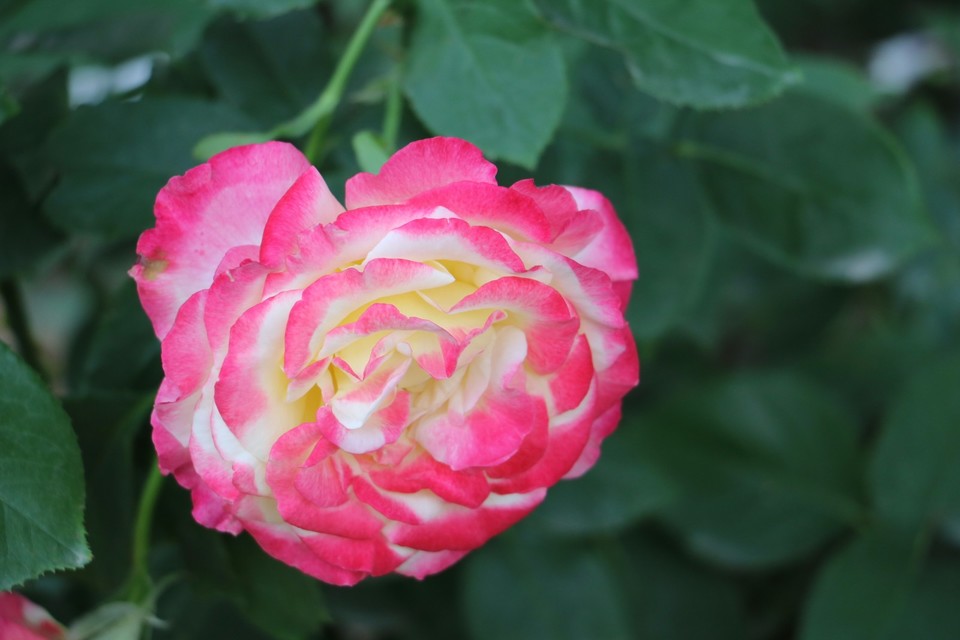 20180511163006_IMG_7163