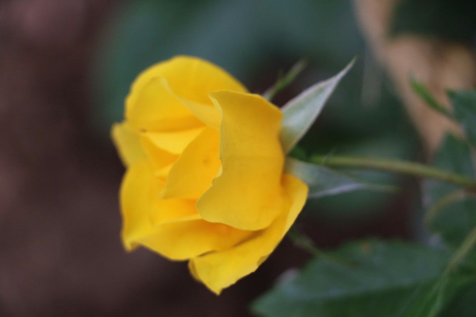 20180511155306_IMG_7060