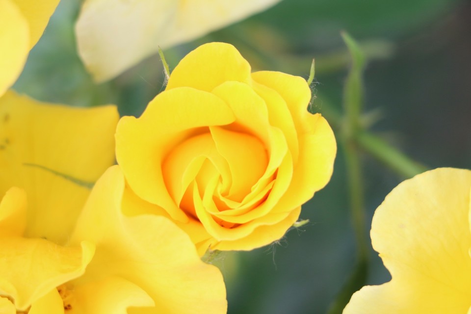 20180511161130_IMG_7112