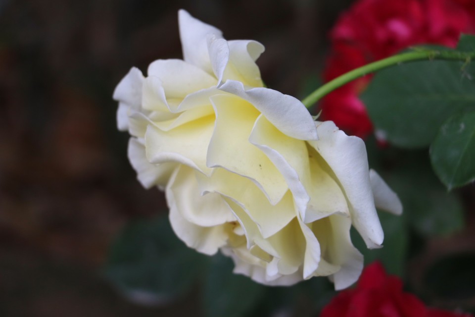 20180511154922_IMG_7049