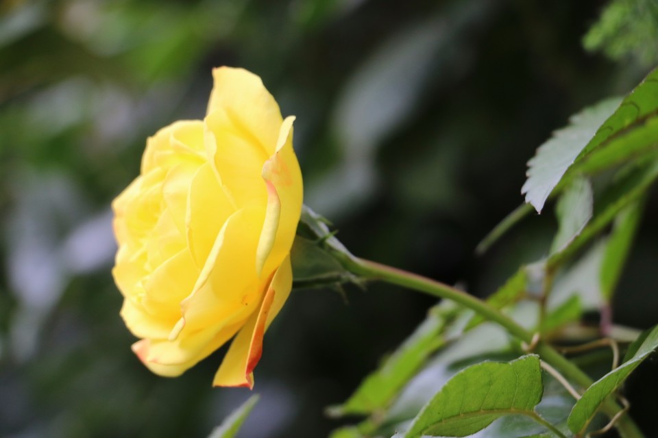 20180511161447_IMG_7126