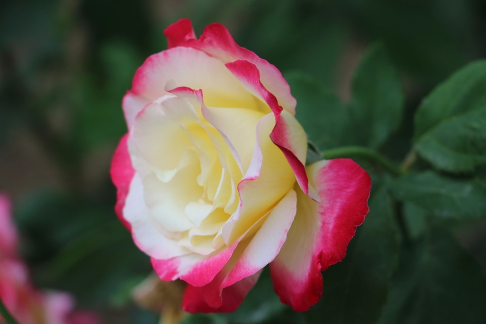 20180511162959_IMG_7162