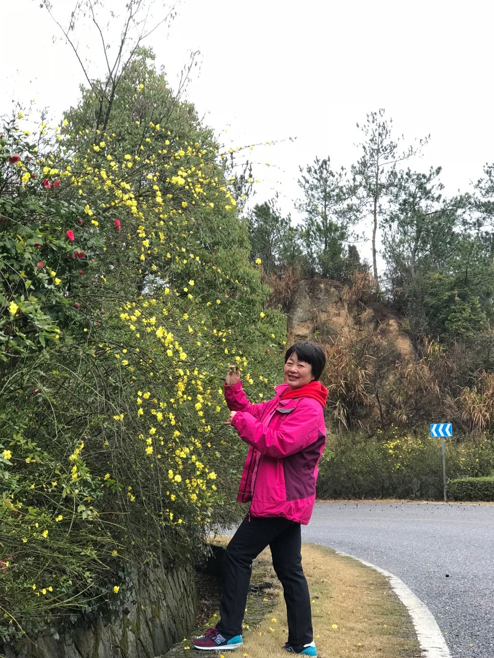 mmexport1521195153889