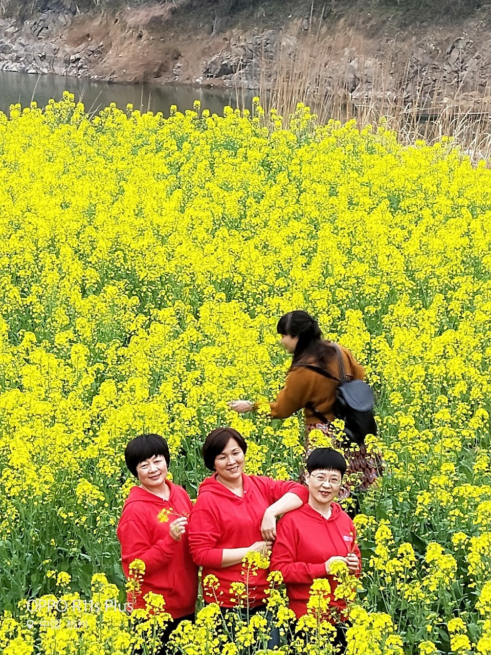 mmexport1521363536522