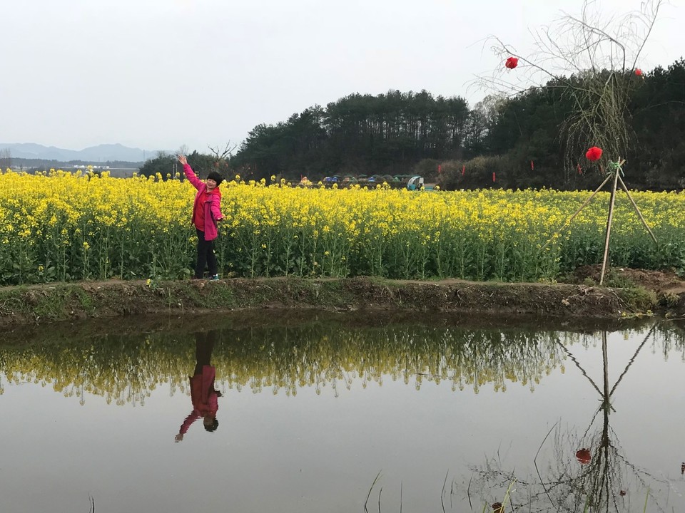 mmexport1521378511812