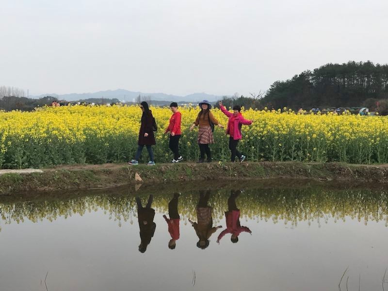 mmexport1521378555116