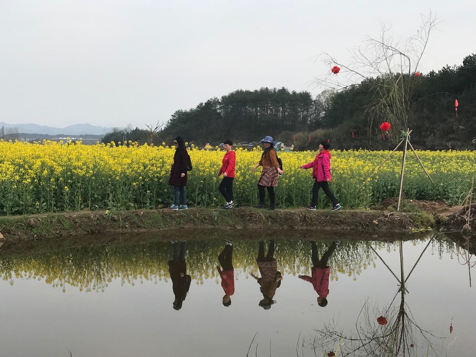 mmexport1521378541372