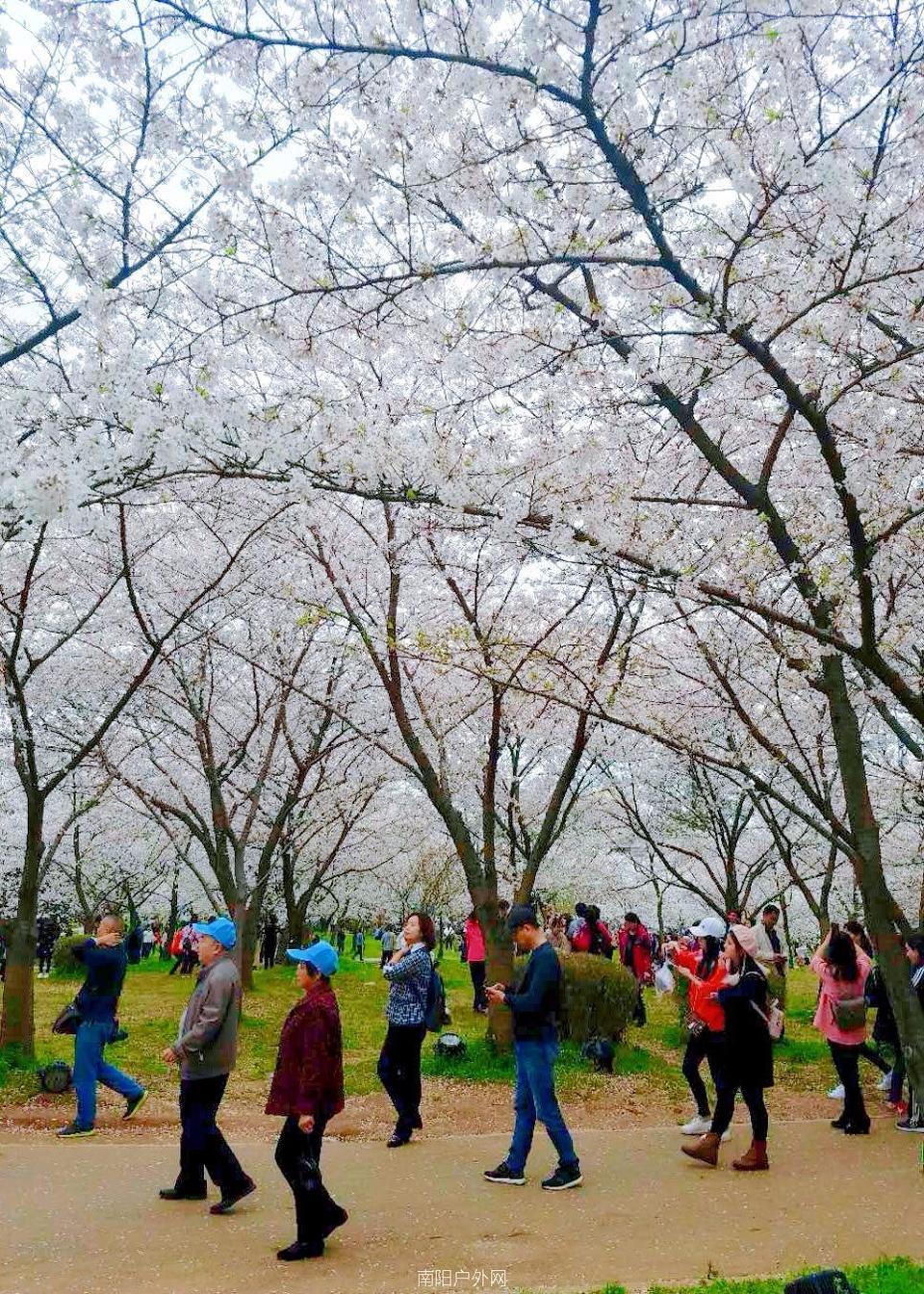 mmexport1521978258011