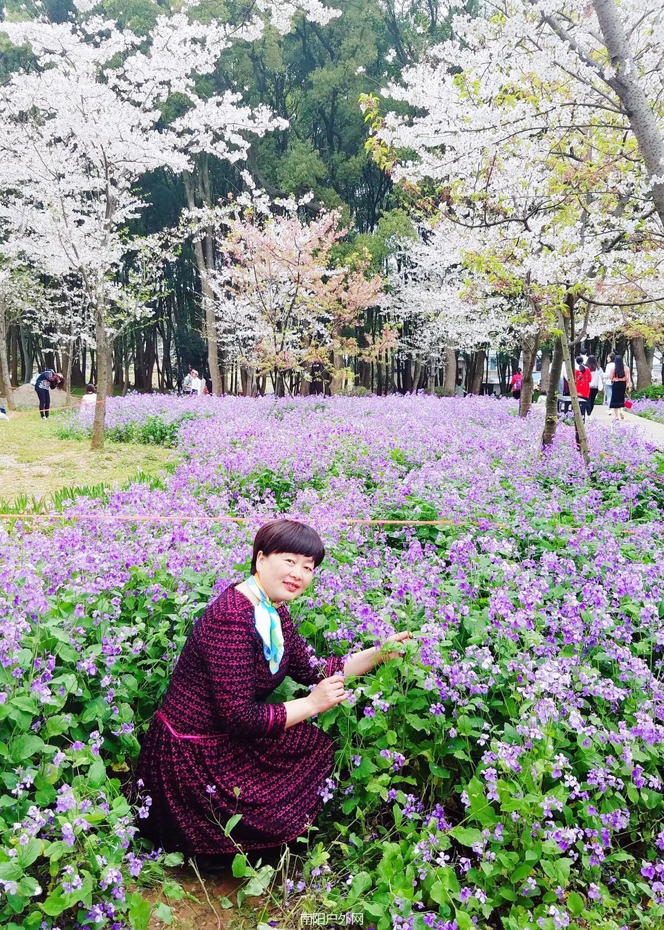 mmexport1521976674364