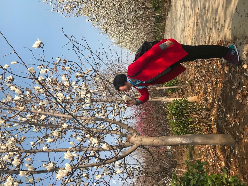 mmexport1521728195854