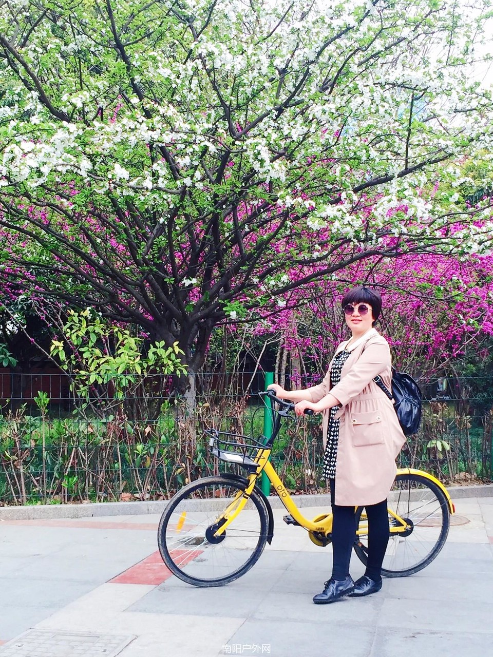 mmexport1521979727437