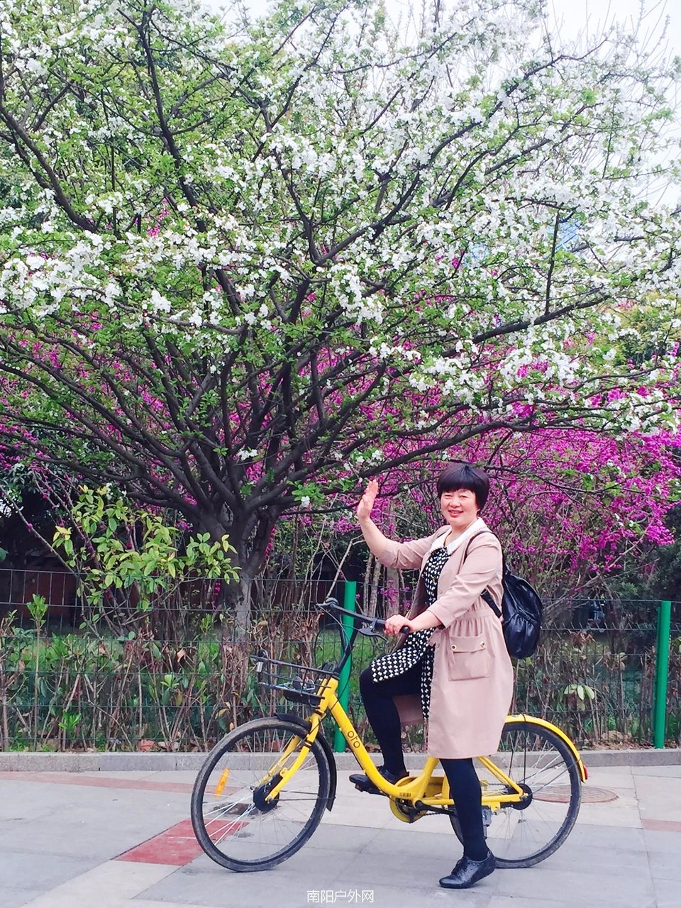 mmexport1521979705485