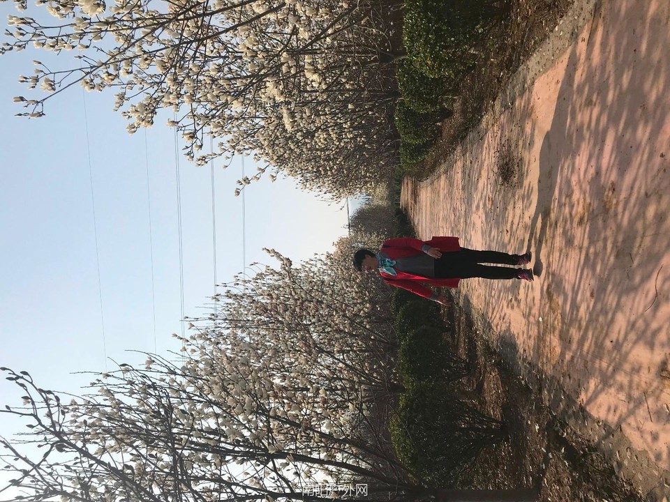 mmexport1521728228576