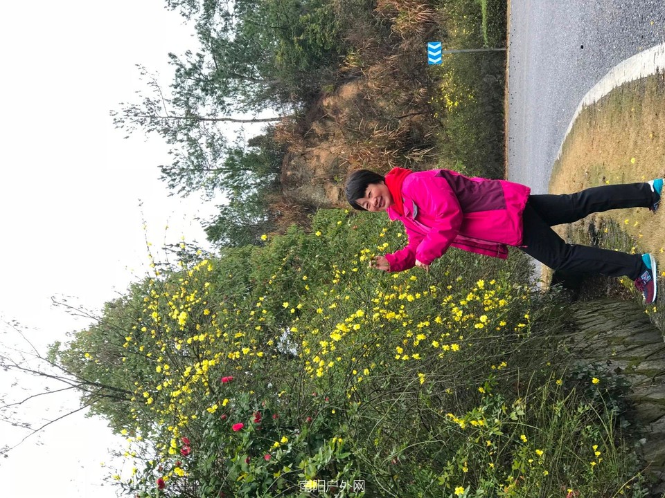 mmexport1521195153889