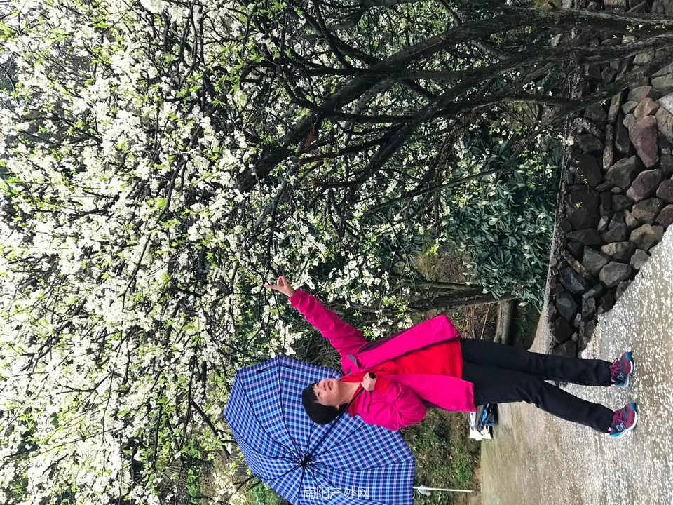 mmexport1521195223833