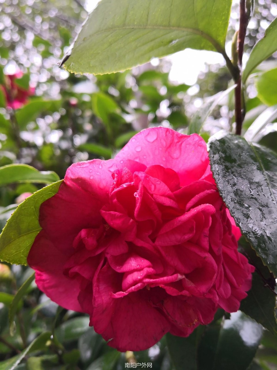 mmexport1521171020397